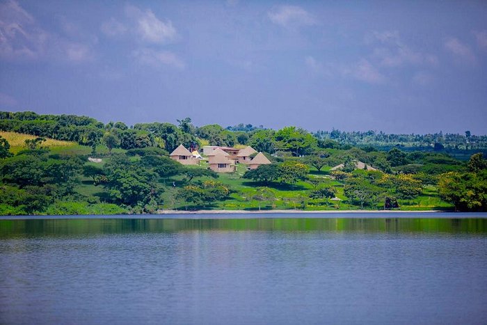 Muhazi flowers - Rwamagana
