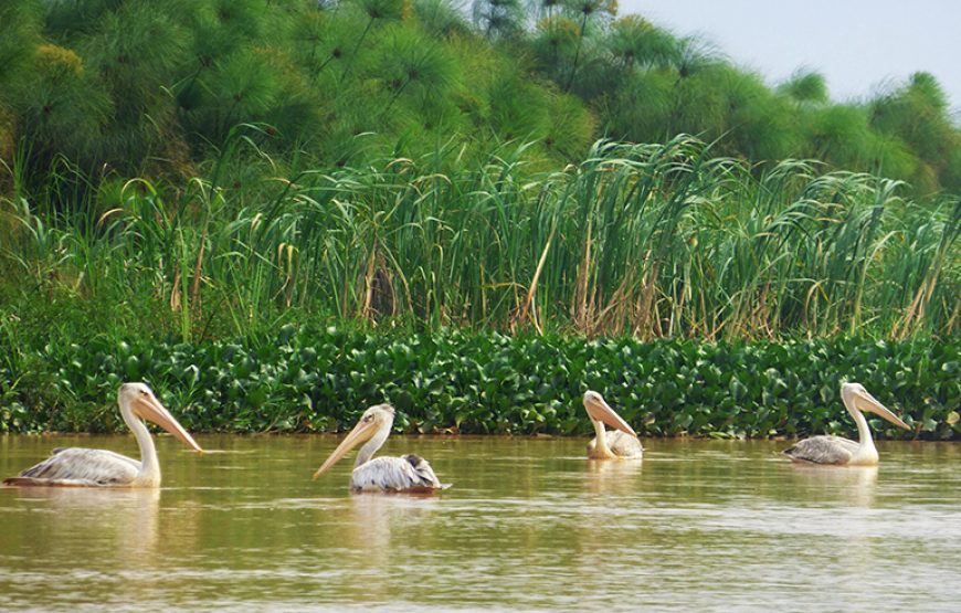 2 DAYS NYARUGENGE CITY TOUR