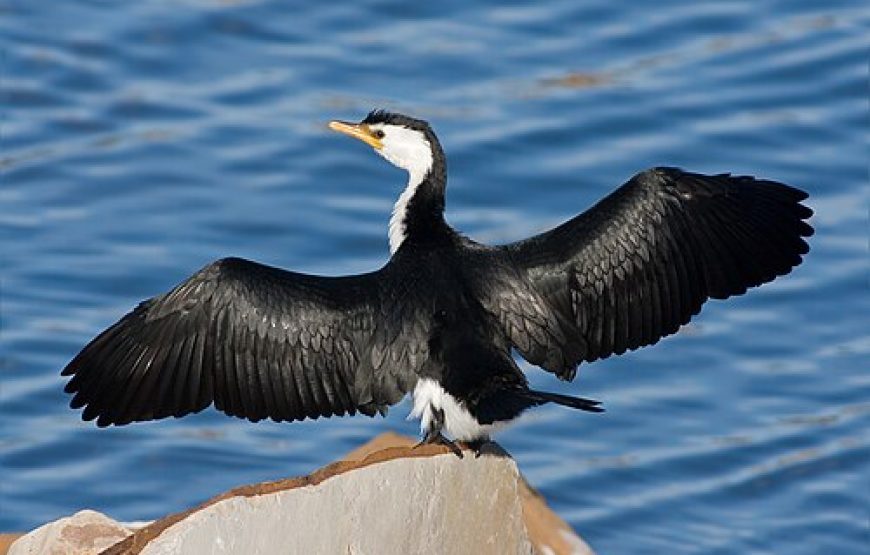 A3-Days  Rusizi Tour