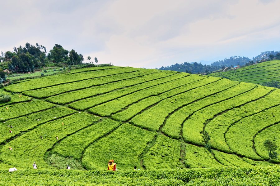 Visit national liberation museum